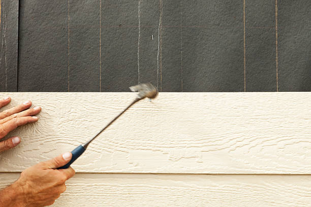 Affordable Siding Repair and Maintenance Services in New Orleans, LA
